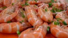 Китай нарастил поставки морепродуктов в Россию до 10-летнего рекорда